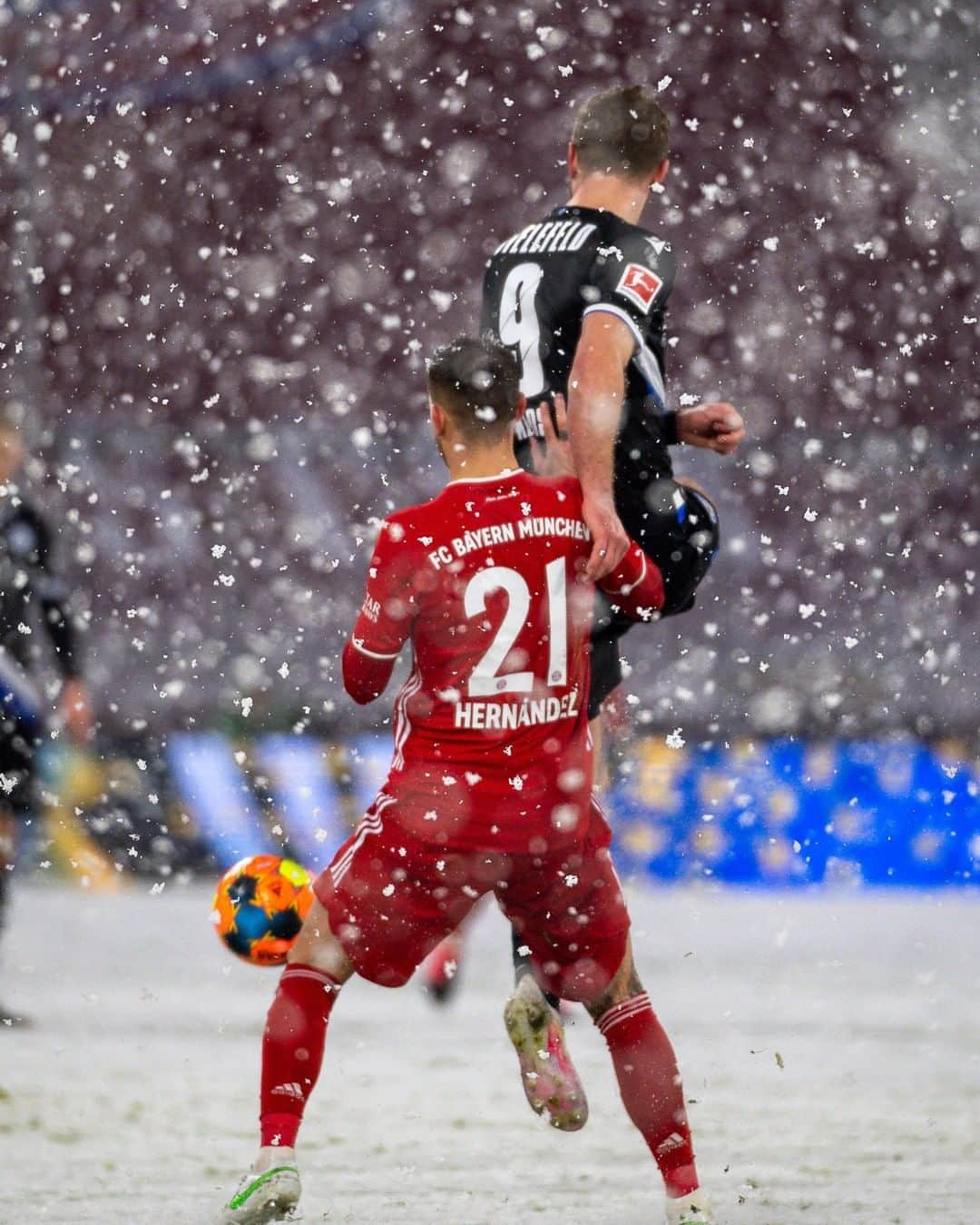 バイエルン・ミュンヘンさんのインスタグラム写真 - (バイエルン・ミュンヘンInstagram)「❄️📸❄️  #FCBDSC #MiaSanMia #FCBayern #WeiterImmerWeiter #packmas #Bundesliga」2月16日 20時32分 - fcbayern