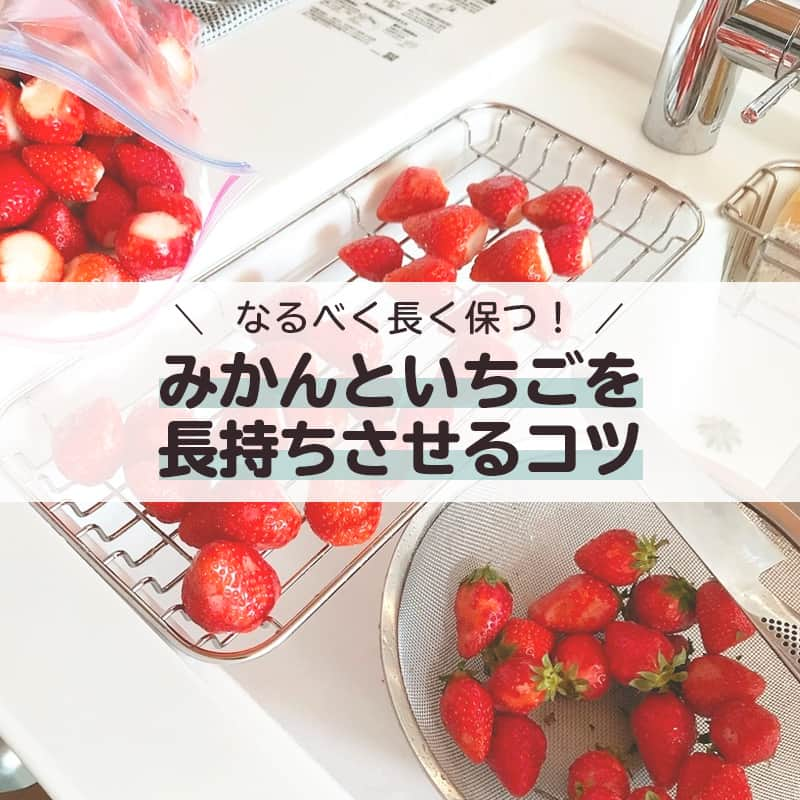 LIMIA（リミア）さんのインスタグラム写真 - (LIMIA（リミア）Instagram)「.⁣ みかんやいちごを買ったはいいものの、時間が経ったころにみてみると傷んでいた…という経験をしたことがある人も多いはず。⁣ 今回はそんなみかんやいちごをできるだけ長持ちさせるTIPSをご紹介！⁣ ちょっとした工夫で、長持ちさせられるのはうれしいですよね😊⁣ ぜひ参考にしてみてください！⁣ .⁣ photo by ケイさん⁣ @k_ei_ie_k⁣ https://limia.jp/idea/330620/⁣ 記事の詳細はプロフィールリンクから飛べます✨⁣ ▶︎@limiajp⁣ .⁣ #暮らし #暮らしのアイデア #生活の知恵 #limia #みかん #みかんのある生活 #みかん食べたい #いちご #いちご好きな人と繋がりたい #いちご日和 #果物 #果物長持ち #いちご農家 #いちご🍓 #長持ち #暮らしの記録 #暮らしの道具 #暮らしの手帖 #暮らしを愉しむ #暮らしの風景 #暮らしの工夫 #暮らしのキロク #キッチン #リビングルーム #家族 #家族の時間 #家族時間 #家族の健康 #キッチングラム #リミア知恵袋」2月16日 21時00分 - limiajp