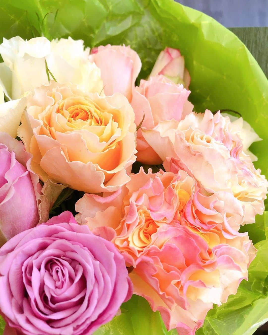 久保田夏菜さんのインスタグラム写真 - (久保田夏菜Instagram)「この前、大好きな友達から サプライズで届いた花。  色がとてもキレイで 香りも良くって かわいい。  元気出るよねー。  花の似合う季節がやってくるなあ。 うれしいうれしい。  でも、その前に また冷え込むそう。  みなさま、お気をつけて⛄️  #バラ　#花束　#ありがとう」2月16日 21時09分 - kanakubota0805
