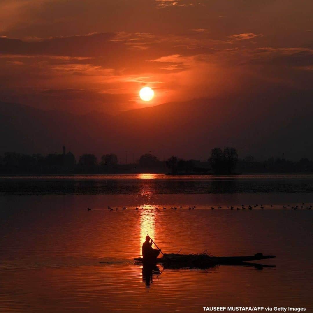 ABC Newsさんのインスタグラム写真 - (ABC NewsInstagram)「Man rows as the sun sets at Dal lake in Srinagar, India. #sunset」2月16日 21時15分 - abcnews