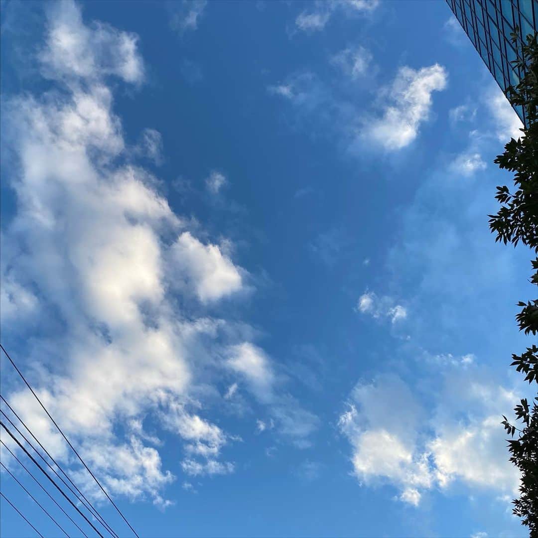 井上富美子さんのインスタグラム写真 - (井上富美子Instagram)「昨日の空  雨上がりの虹🌈は 見られなかったけれど  仕事に行くときの 空の色は美しかった  #空 #空が好き #青い空 #白い雲 #雨上がり」2月16日 21時19分 - fumi_ino1222