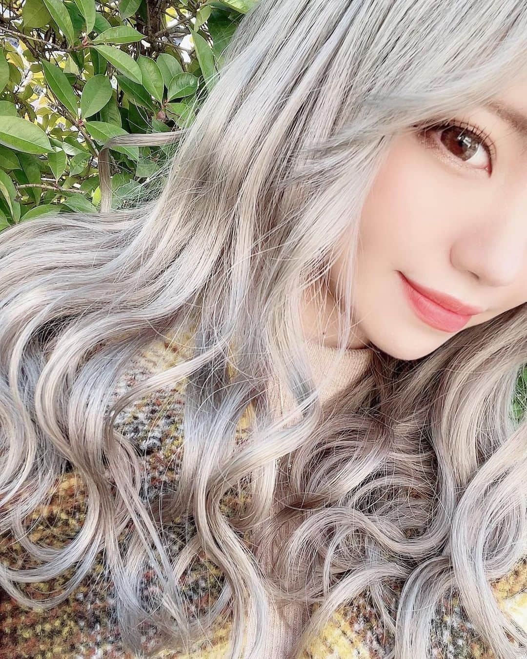 みきでりさんのインスタグラム写真 - (みきでりInstagram)「new silver hair color♥︎ thanks @sakusaku0321 ＆ @pullexte_official !!!!  新しい髪色〜💛✨✨ 独特な色味で新鮮だし可愛い₍ᐢ｡•༝•｡ᐢ₎  さくらさんいつもありがとうございます🌸  #プルエクステ#エクステ#ロング#ロングヘア#ハイトーン#ハイトーンカラー#ブリーチ#ブリーチカラー #シルバー#シルバーアッシュ #ブリーチオンカラー #金髪#銀髪#ヘアカラー#ヘアスタイル#ヘアセット#美容院#美容室#美容#ヘアメンテ」2月16日 21時28分 - mikidelicious