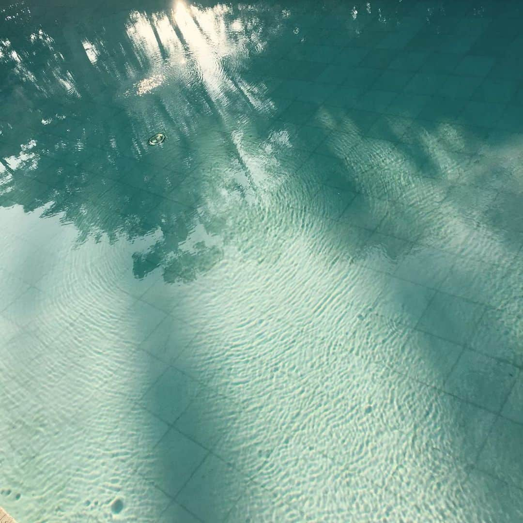 Paul Smithさんのインスタグラム写真 - (Paul SmithInstagram)「Today I launched my new spring/summer 2021 campaign. It was shot in England and inspired by swimming pools somewhere we’d all like to be right now. See more on my grown up account @paulsmithdesign.  #takenbyPaul」2月16日 21時34分 - paulsmith