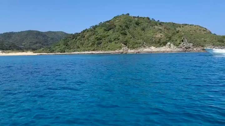 のインスタグラム：「く・じ・ら🐳」