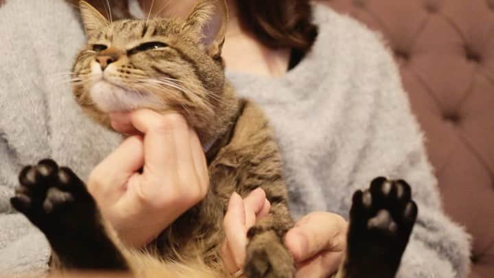 ohshima_moaのインスタグラム