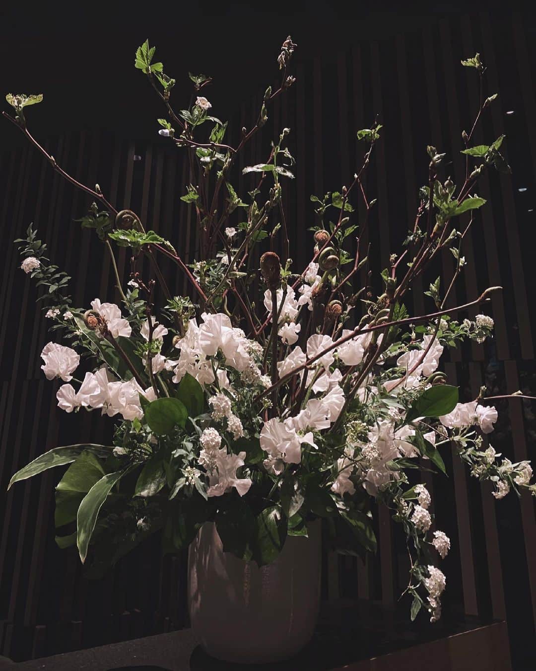遠海まりこさんのインスタグラム写真 - (遠海まりこInstagram)「White Color ﻿ ——————————————————————————﻿ ﻿ #flower #whitecolor #green #loveflower #arrangement #arrangementsofflower #beautiful #spring」2月16日 22時13分 - marikotohmi99