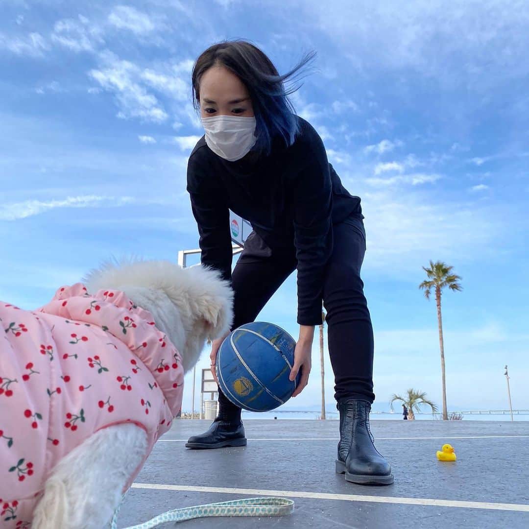 こなつのインスタグラム：「少し前の休日🐶💙👩🏻 地元に新しくできたお散歩コース🏀 ポカポカ陽気でいっぱい歩いて一緒にリフレッシュできました🌴✨🌈🐤🍒」