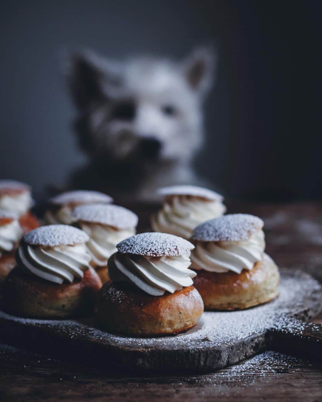 Linda Lomelinoのインスタグラム：「You’ve probably already seen a thousand photos of Semlor today but here is one of Mozart admiring my semlor 🤍 I bet you haven’t seen that today! If you want to try my recipe you can find it through the link in my profile 🤗  #semla #semlor #fettisdagen #fattuesday #semmeldagen #swedishpastry #whippedcream #foodphotography #westie」