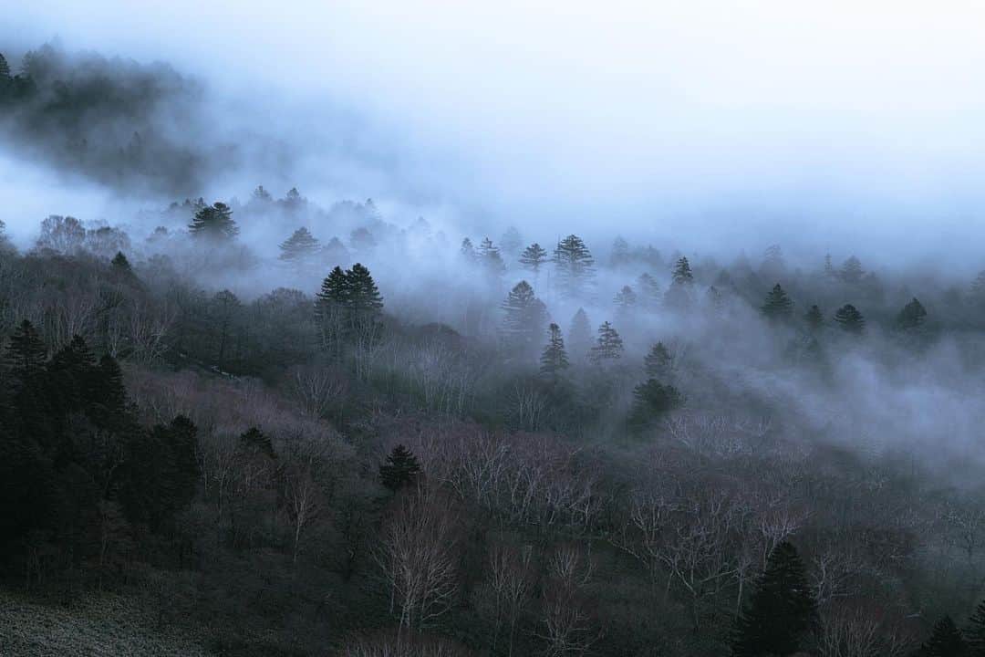 Hikaruのインスタグラム：「Thing in the cloud. . .  #北海道 #igersjp #instagram #レイトレッククリエイター #東京カメラ部 #tokyocameraclub #natgeo #bealpha #sonyphotography #pashadelic #bestjapanpics #photo_travelers #naturephotography #ig_worldclub #1x #landscapelovers #visitjapanjp #bbctravel #splendid_earth #日本の絶景 #ig_great_pics #BBCtravel」