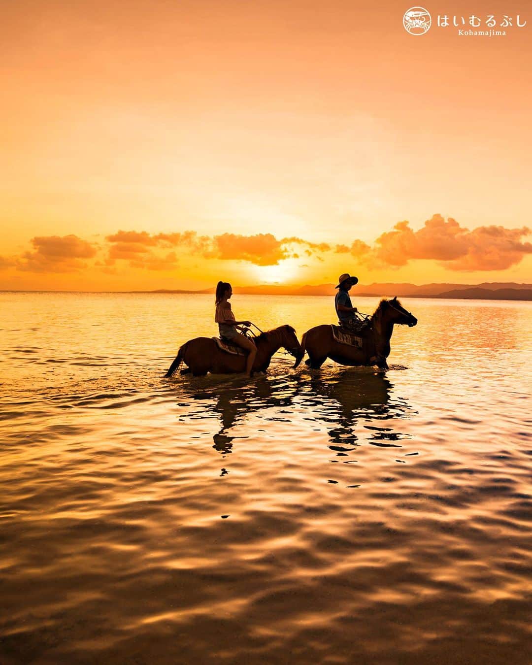HAIMURUBUSHI はいむるぶしさんのインスタグラム写真 - (HAIMURUBUSHI はいむるぶしInstagram)「小浜島・はいむるぶしから癒しの風景をお届けします。 美しい夕景の世界を乗馬で散歩する離島の休日… ここにしかない、沖縄をお楽しみください。 #沖縄 #八重山諸島 #小浜島 #乗馬 #夕景 #夕陽 #散歩 #リゾート #ホテル #はいむるぶし」2月16日 22時44分 - haimurubushi_resorts