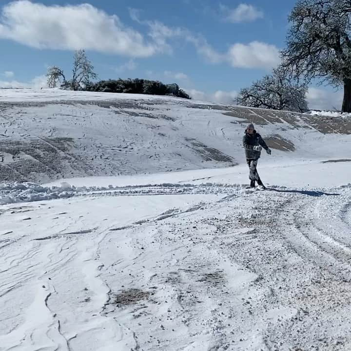 ビル・ゴールドバーグのインスタグラム