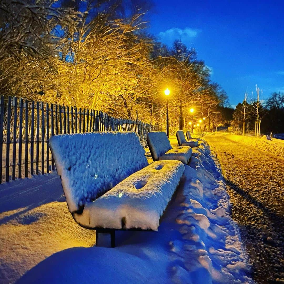 ラファエル・スバージさんのインスタグラム写真 - (ラファエル・スバージInstagram)「More #snow headed our way. Been a #winterwonderland in @centralparknyc @riversideparknyc  and around #newyorkcity  Views from my long walks and travels.」2月16日 22時46分 - raphaelsbarge