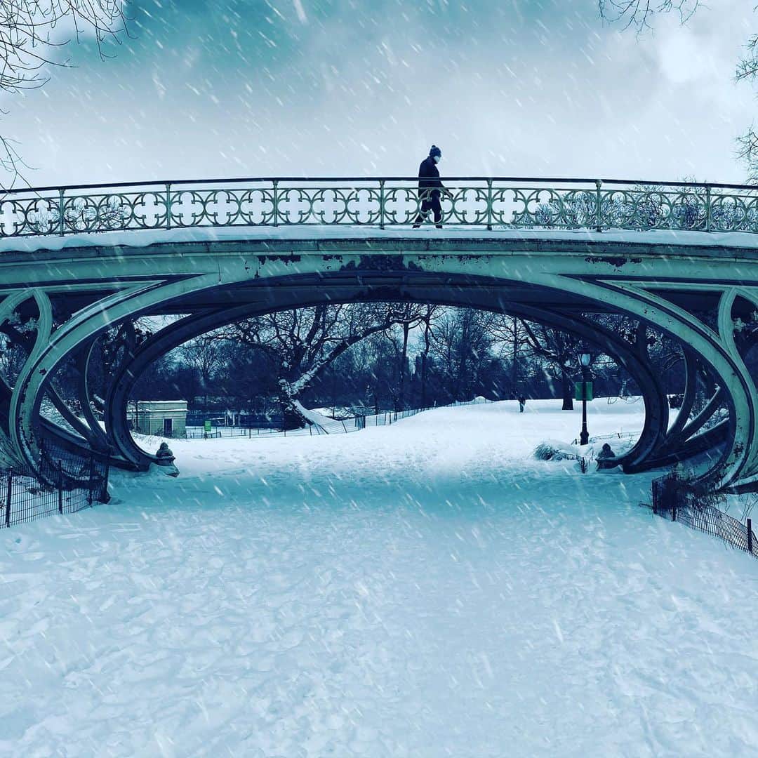 ラファエル・スバージさんのインスタグラム写真 - (ラファエル・スバージInstagram)「More #snow headed our way. Been a #winterwonderland in @centralparknyc @riversideparknyc  and around #newyorkcity  Views from my long walks and travels.」2月16日 22時46分 - raphaelsbarge