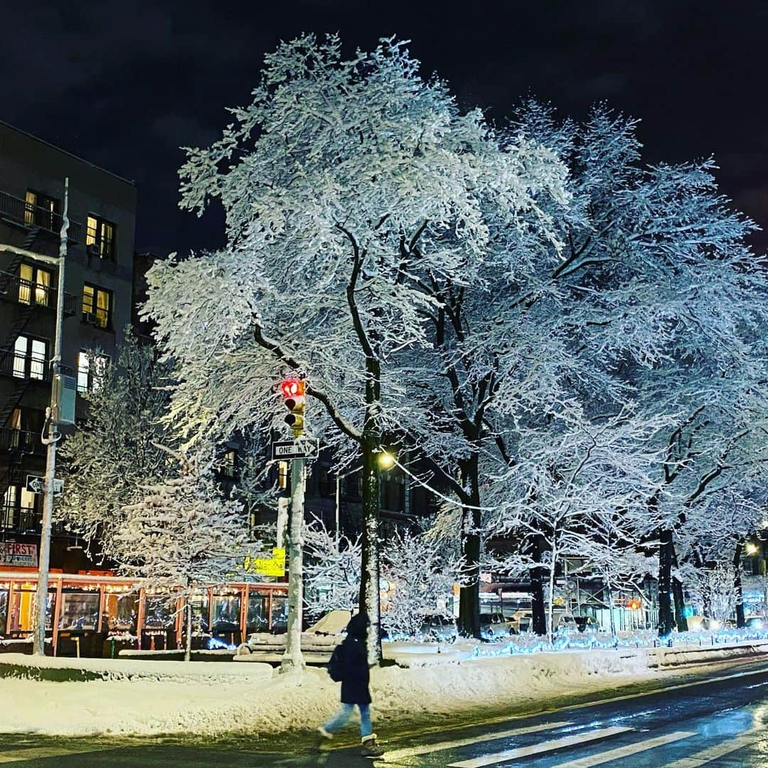 ラファエル・スバージさんのインスタグラム写真 - (ラファエル・スバージInstagram)「More #snow headed our way. Been a #winterwonderland in @centralparknyc @riversideparknyc  and around #newyorkcity  Views from my long walks and travels.」2月16日 22時46分 - raphaelsbarge