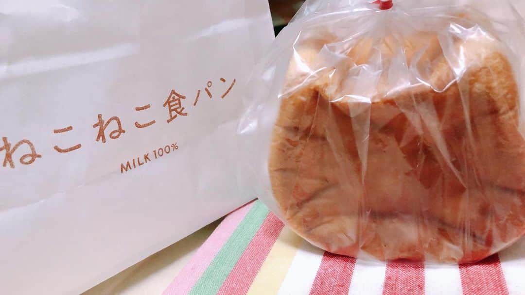 のインスタグラム：「個展に来てくださった方々からたくさん差し入れを頂きマンモスうれピーかぎりです😭 ねこパンきゃわたん💕 #デザインフェスタギャラリー」