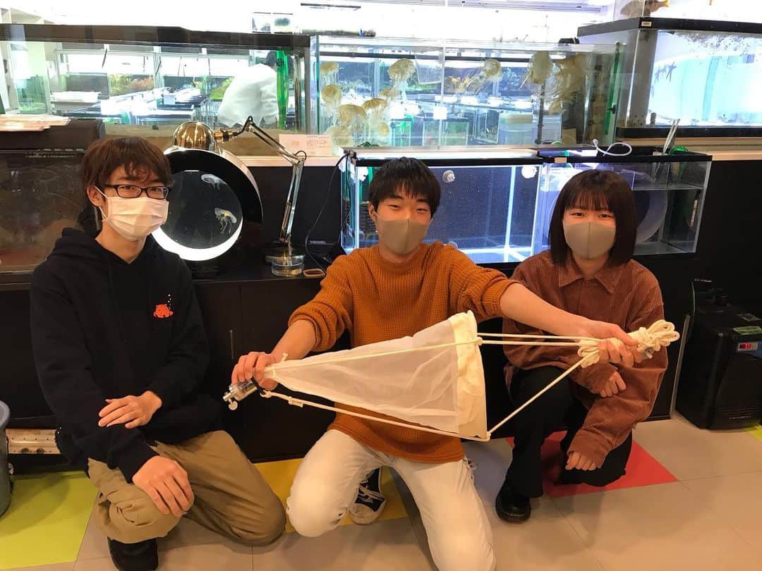 【公式】福岡ECO動物海洋専門学校のインスタグラム：「_ 止まらないクラゲへの情熱！！ そんな学生にプランクトンネットのプレゼント😙 尽きない探究心は成長に繋がる✨ #福岡ECO #福岡ECO動物海洋専門学校 #水族館アクアリスト専攻 #クラゲ #タコクラゲ #カラージェリーフィッシュ」