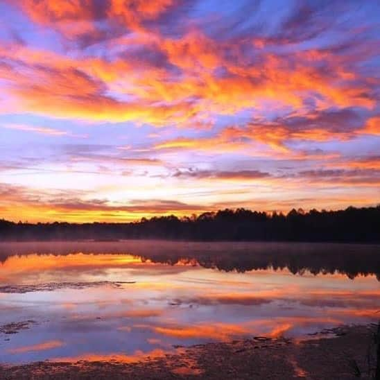 アメリカ内務省さんのインスタグラム写真 - (アメリカ内務省Instagram)「Let's reflect on the importance and beauty of #wetlands. Wetlands recharge groundwater, reduce flooding, supply clean drinking water, support vast #wildlife populations, help against climate change and offer us a place for countless cultural and recreational activities. On top of all that, views like this vibrant sky on display at the Muscatatuck National Wildlife Refuge in #Indiana, can remind us how these dynamic landscapes are some of the most beautiful and serene places to visit. Photo by D. Stanley, U.S. Fish and Wildlife Service. #usinterior #recreateresponsibly」2月17日 10時15分 - usinterior