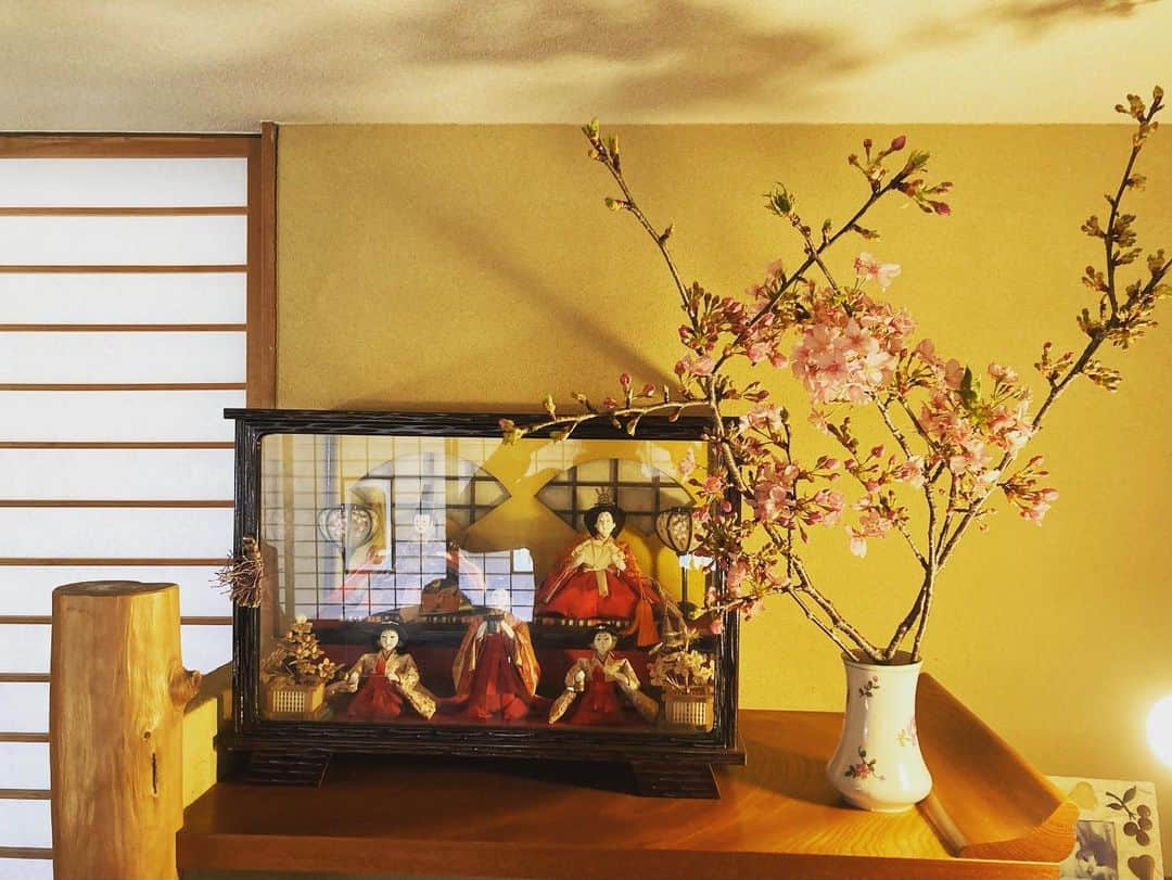 のインスタグラム：「少し早いかしら。でも、元気な河津桜をいただいたので。春よ、来い！」