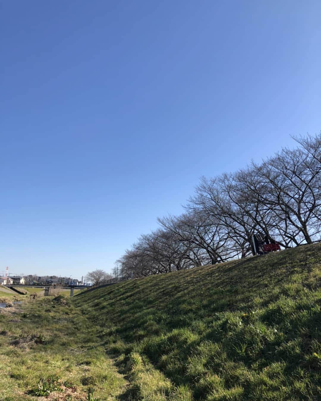 光石研のインスタグラム：「おはよう御座います✌️今日は晴天✌️ 【by 光石】」