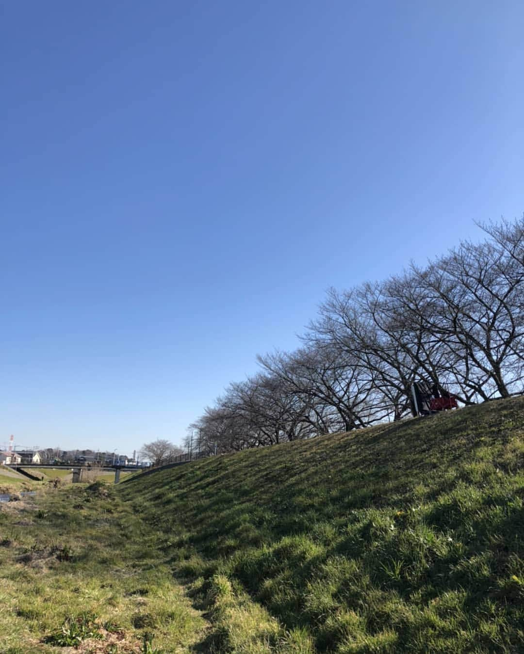 光石研さんのインスタグラム写真 - (光石研Instagram)「おはよう御座います✌️今日は晴天✌️ 【by 光石】」2月17日 9時58分 - kenmitsuishi_official