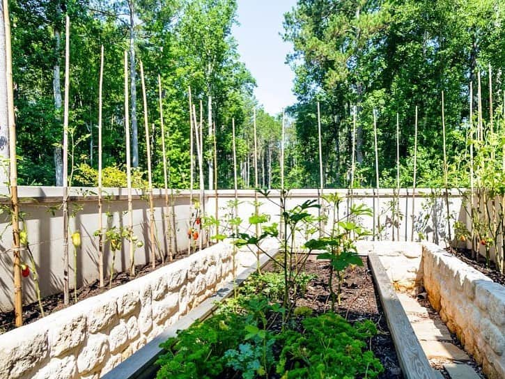 HGTVさんのインスタグラム写真 - (HGTVInstagram)「Get this year's garden off the ground with a fresh take on raised beds. 🌱  ⁠⁠ There are so many reasons to love a raised garden bed... ⁠⁠ ✅ Provide plants access to nutrient-rich soil⁠⁠ ✅ Add architectural interest to your landscape⁠⁠ ✅ Small-space friendly⁠⁠ ✅ Can be designed to keep pests out⁠⁠ ✅ Certain designs make gardening more accessible⁠⁠ ⁠⁠ We could go on... but instead, we'll point you to the 20 raised garden bed ideas at the link in our profile. 🔝 Discover different types of raised garden bed styles and flower bed styles that will inspire you to create your own orderly garden space. 👩‍🌾 ⁠⁠ ⁠⁠ What are you growing in your garden this year? 🌱⁠⁠ ⁠⁠ #garden #gardening #raisedbed #raisedgarden #raisedgardenbeds #DIYgarden #victorygarden」2月17日 2時02分 - hgtv