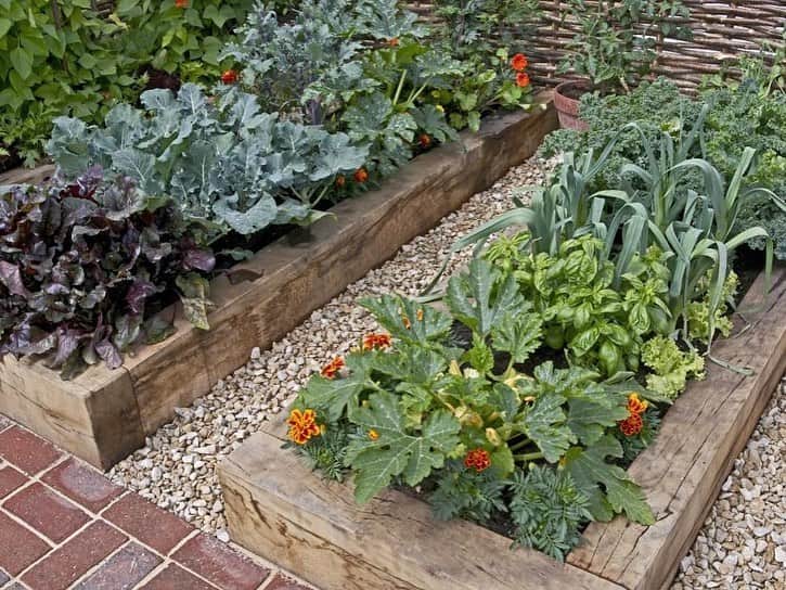 HGTVさんのインスタグラム写真 - (HGTVInstagram)「Get this year's garden off the ground with a fresh take on raised beds. 🌱  ⁠⁠ There are so many reasons to love a raised garden bed... ⁠⁠ ✅ Provide plants access to nutrient-rich soil⁠⁠ ✅ Add architectural interest to your landscape⁠⁠ ✅ Small-space friendly⁠⁠ ✅ Can be designed to keep pests out⁠⁠ ✅ Certain designs make gardening more accessible⁠⁠ ⁠⁠ We could go on... but instead, we'll point you to the 20 raised garden bed ideas at the link in our profile. 🔝 Discover different types of raised garden bed styles and flower bed styles that will inspire you to create your own orderly garden space. 👩‍🌾 ⁠⁠ ⁠⁠ What are you growing in your garden this year? 🌱⁠⁠ ⁠⁠ #garden #gardening #raisedbed #raisedgarden #raisedgardenbeds #DIYgarden #victorygarden」2月17日 2時02分 - hgtv