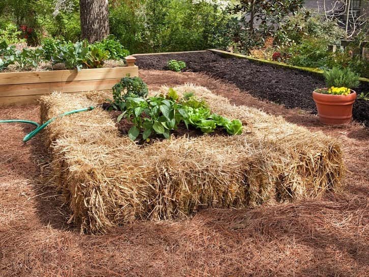 HGTVさんのインスタグラム写真 - (HGTVInstagram)「Get this year's garden off the ground with a fresh take on raised beds. 🌱  ⁠⁠ There are so many reasons to love a raised garden bed... ⁠⁠ ✅ Provide plants access to nutrient-rich soil⁠⁠ ✅ Add architectural interest to your landscape⁠⁠ ✅ Small-space friendly⁠⁠ ✅ Can be designed to keep pests out⁠⁠ ✅ Certain designs make gardening more accessible⁠⁠ ⁠⁠ We could go on... but instead, we'll point you to the 20 raised garden bed ideas at the link in our profile. 🔝 Discover different types of raised garden bed styles and flower bed styles that will inspire you to create your own orderly garden space. 👩‍🌾 ⁠⁠ ⁠⁠ What are you growing in your garden this year? 🌱⁠⁠ ⁠⁠ #garden #gardening #raisedbed #raisedgarden #raisedgardenbeds #DIYgarden #victorygarden」2月17日 2時02分 - hgtv