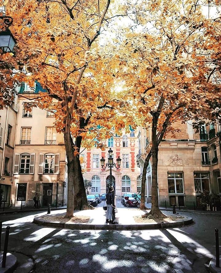 My Little Parisさんのインスタグラム写真 - (My Little ParisInstagram)「Place de Furstemberg, notre (votre) outsider de la Battle des monuments (à retrouver en story "Games" à la une.) 🇬🇧 Furstemberg place, our (your) outsider from the Monuments Battle (find it in our highlight story "Games".) (📸 @patrickcolpron)」2月17日 2時07分 - mylittleparis