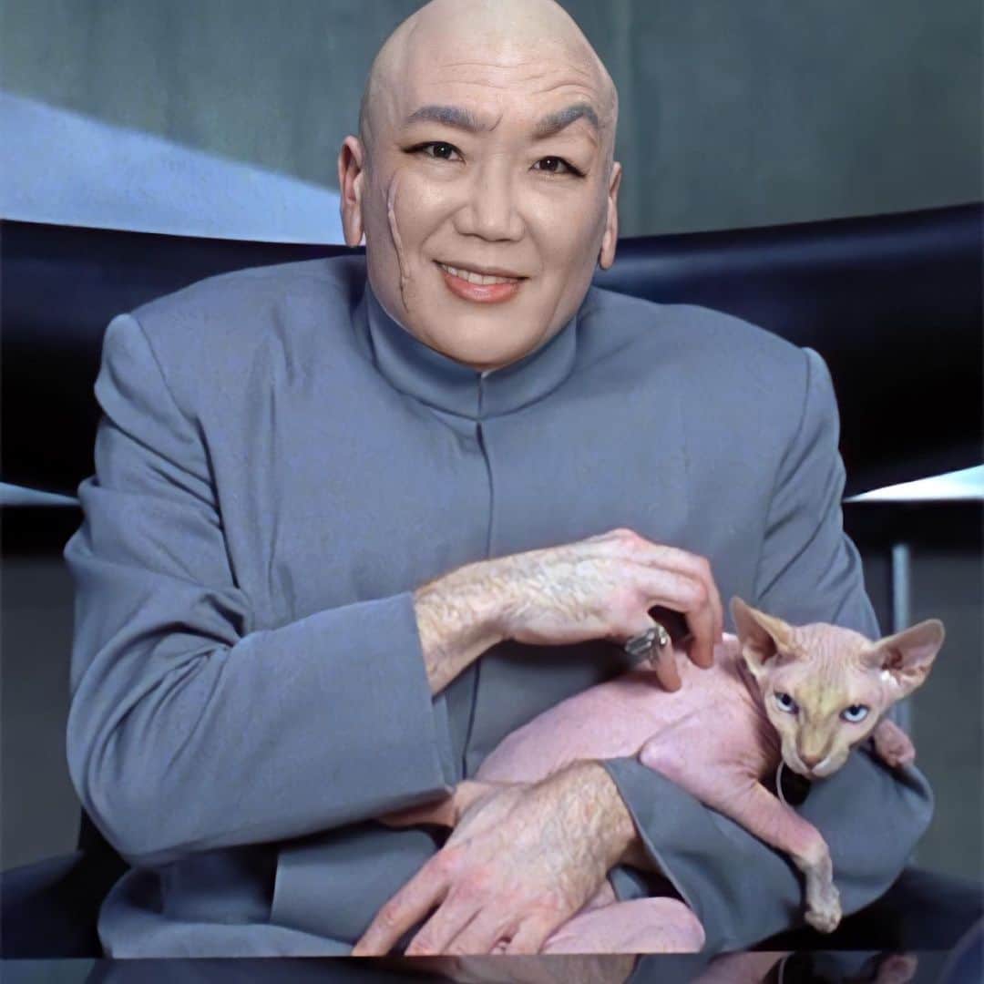 マーガレット・チョーのインスタグラム：「So real @ronaldmcdonkey is the #best #bestfriends #sphynx #austinpowers」