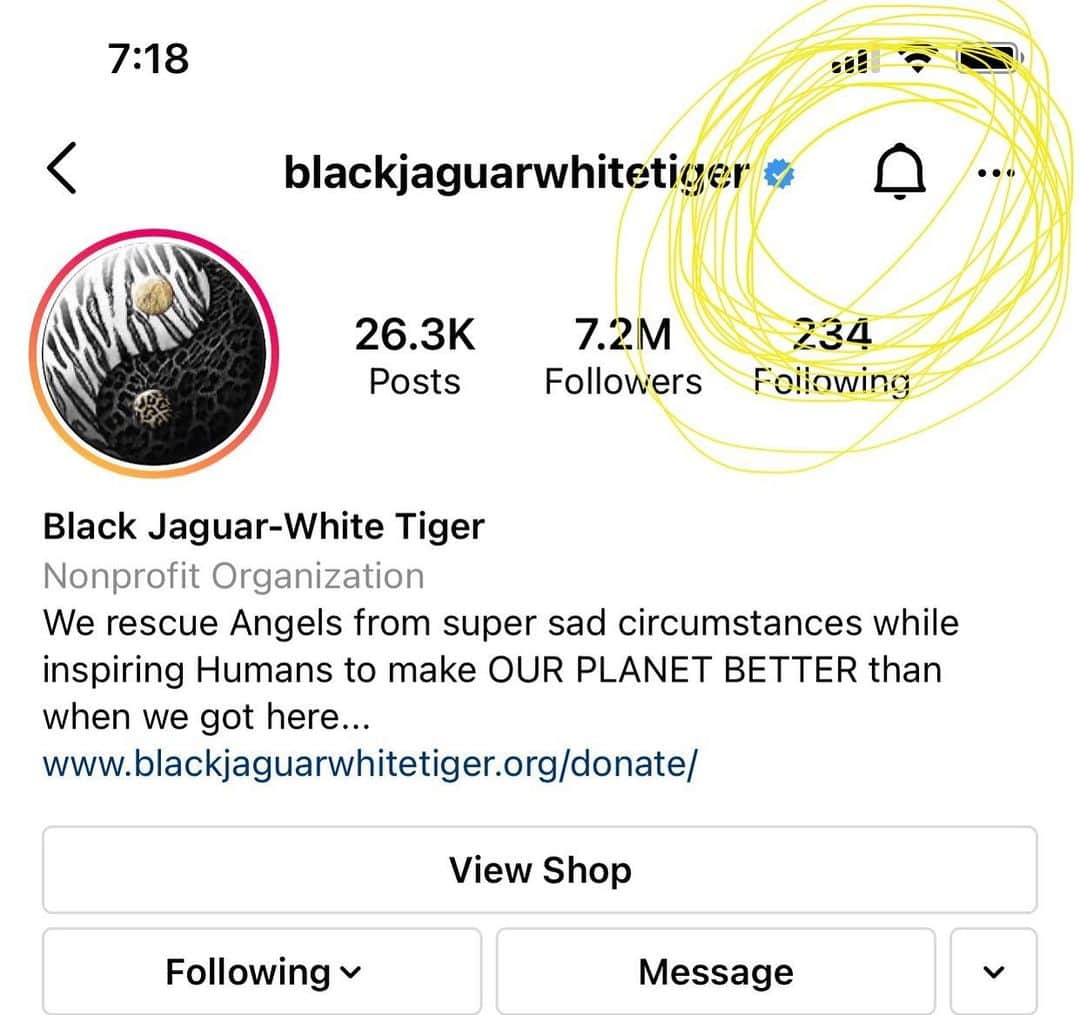Black Jaguar-White Tiger さんのインスタグラム写真 - (Black Jaguar-White Tiger Instagram)「Remember to turn on notifications to see our posts since you know that for years we haven’t appeared on your timeline :)」2月17日 3時07分 - blackjaguarwhitetiger