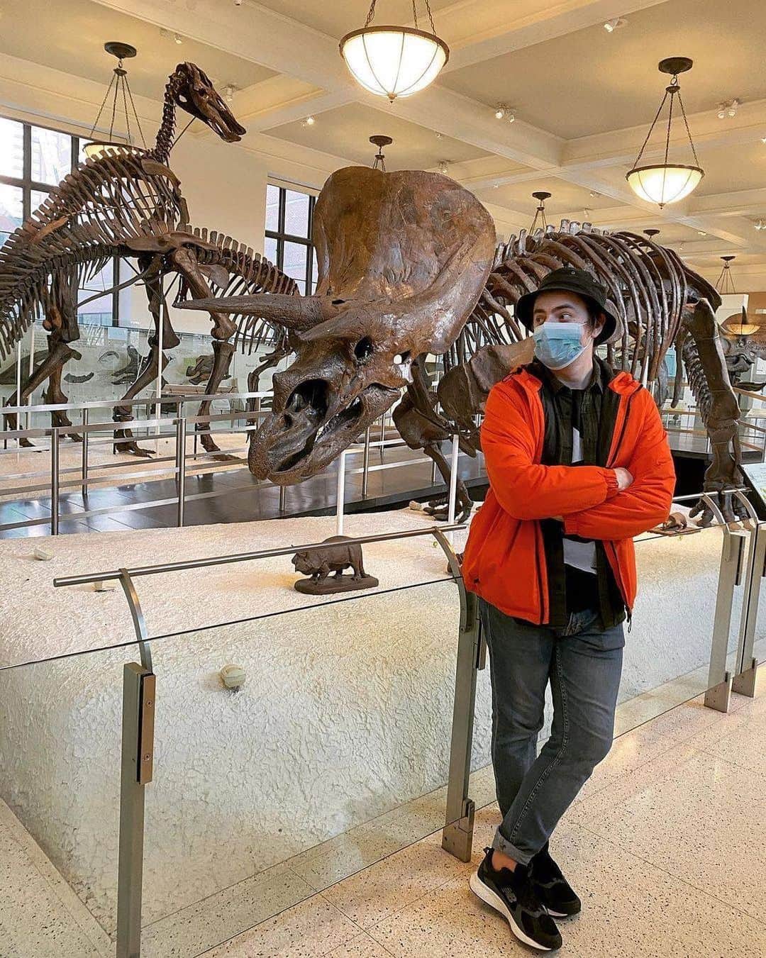 アメリカ自然史博物館さんのインスタグラム写真 - (アメリカ自然史博物館Instagram)「Museum visitor Serge Kharytonau recently shared a moment with Triceratops and the duck-billed dinosaurs in the Hall of Ornithischian Dinosaurs. Fun fact: Triceratops’ skull measures about 8 feet long—almost a third of its body length—yet it was much lighter than it looks. Inside its massive head, its brain was smaller than that of a German shepherd! And the duck-billed dinosaurs? They were one of the most widespread dinosaur groups, also known as hadrosaurs—and could be found living in varied habitats across the Americas, Europe, and Asia. Photo: @kharytonau, Instagram」2月17日 3時10分 - amnh