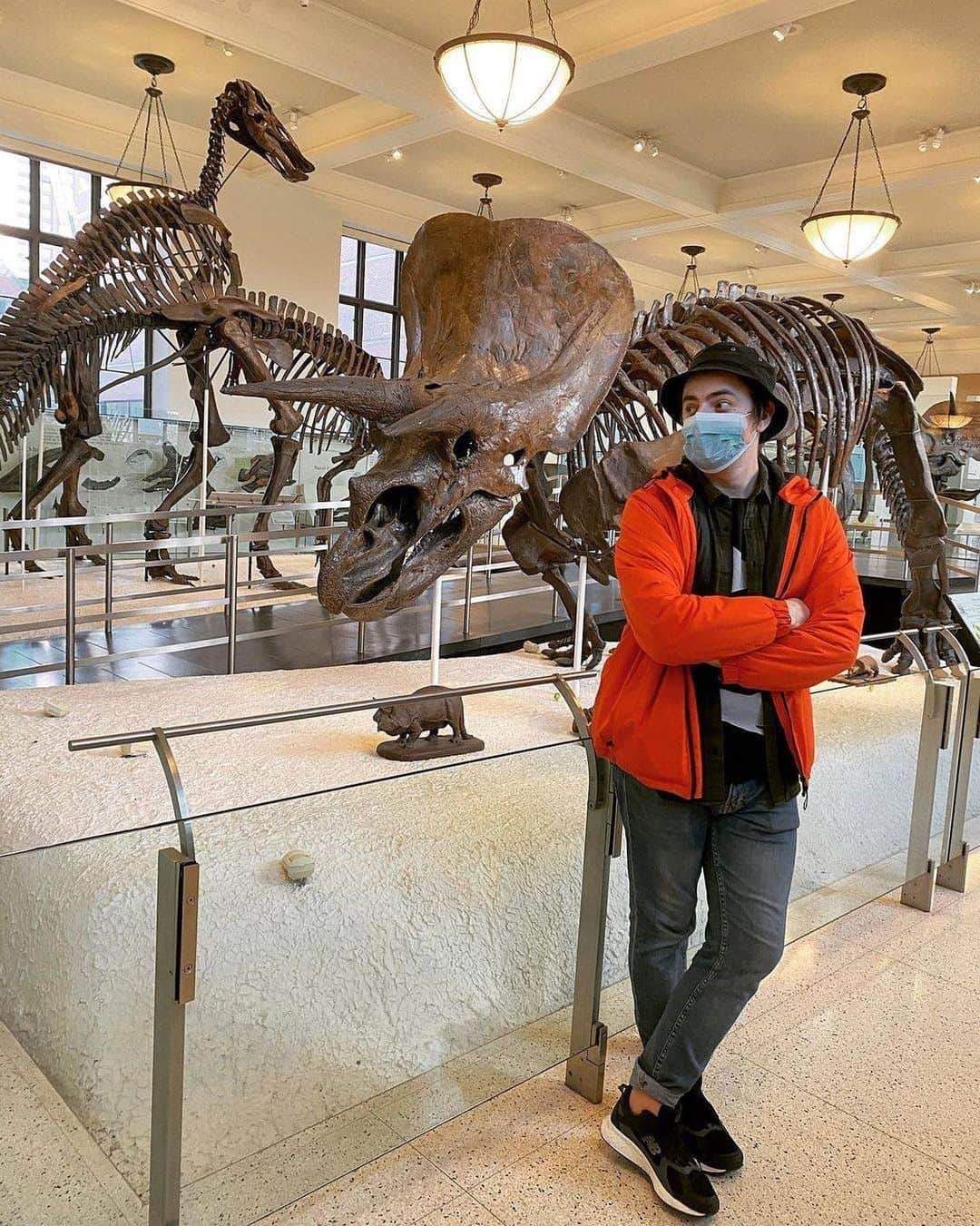 アメリカ自然史博物館のインスタグラム：「Museum visitor Serge Kharytonau recently shared a moment with Triceratops and the duck-billed dinosaurs in the Hall of Ornithischian Dinosaurs. Fun fact: Triceratops’ skull measures about 8 feet long—almost a third of its body length—yet it was much lighter than it looks. Inside its massive head, its brain was smaller than that of a German shepherd! And the duck-billed dinosaurs? They were one of the most widespread dinosaur groups, also known as hadrosaurs—and could be found living in varied habitats across the Americas, Europe, and Asia. Photo: @kharytonau, Instagram」
