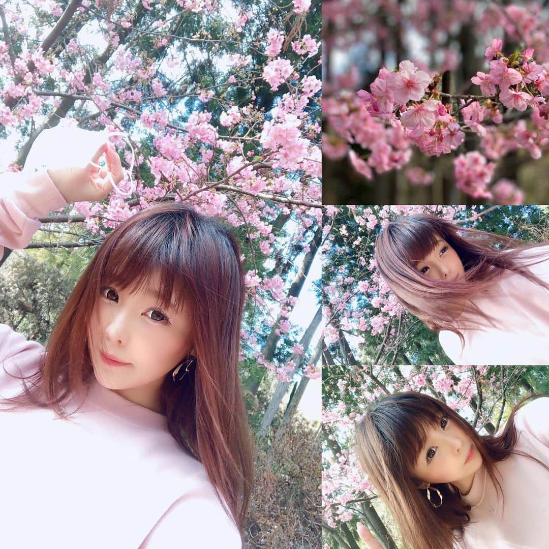 南菜々子のインスタグラム：「🌸早めの千本桜🌸と♡  #吉永彩乃 #yoshinagaayano #桜 #千本桜 #ポートレート #モデル #写真好きな人と繋がりたい  #cherryblossom」