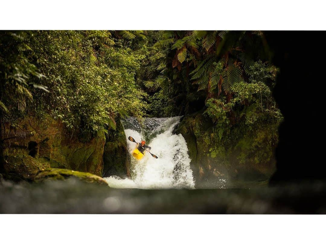 マイケル・ドーソンのインスタグラム：「Young guns on fire 🔥   Misty arvo on the local #kaituna created some epic light. @georgesnook_ lighting up Tutea Falls on the Okere Awa amongst the ferns —> To check out @oliver_english_ boofing big   . . . . .  ##newzealandtrip #auckland #photooftheday #newzealandroadtrip #nzmustdo #nature #newzealandfinds #newzealandgram #newzealandpics #naturephotography #southisland #newzealandtravel #photography #newzealand🇳🇿 #instagood #newzealandnatural #newzealandadventures #newzealandlife #newzealandphotography #nz #newzealandmade ⁣ #kayak #kayaking #kayakmore #whitewater #redbullnz #kaitunariver #okerefalls」