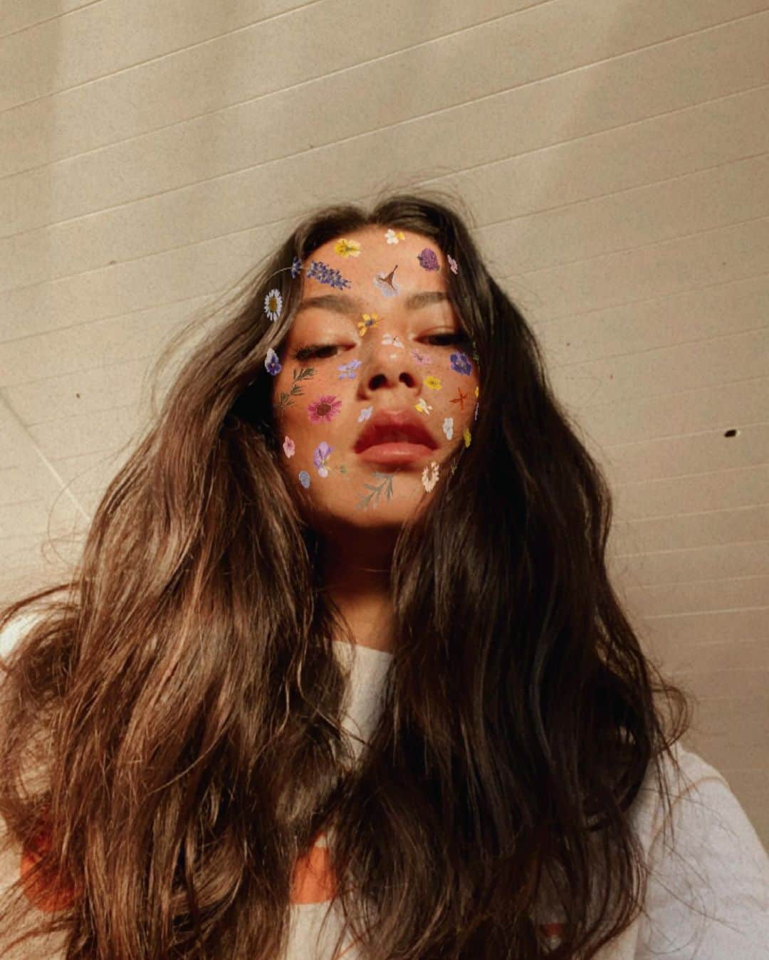 のインスタグラム：「Tassie Wildflower 🌸🌼」
