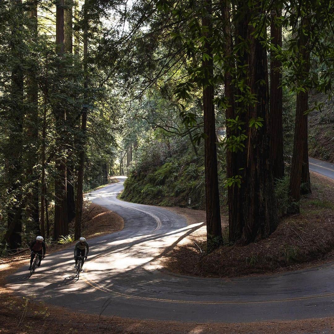 Shimanoさんのインスタグラム写真 - (ShimanoInstagram)「Talented photographer @Creedub shares how to take better photos on the bike and how to capture your cycling story through intentional lighting, exposure, framing, and composition. Click the link in our bio to read more 📸  #RideShimano #ShimanoRoad」2月17日 5時10分 - rideshimano