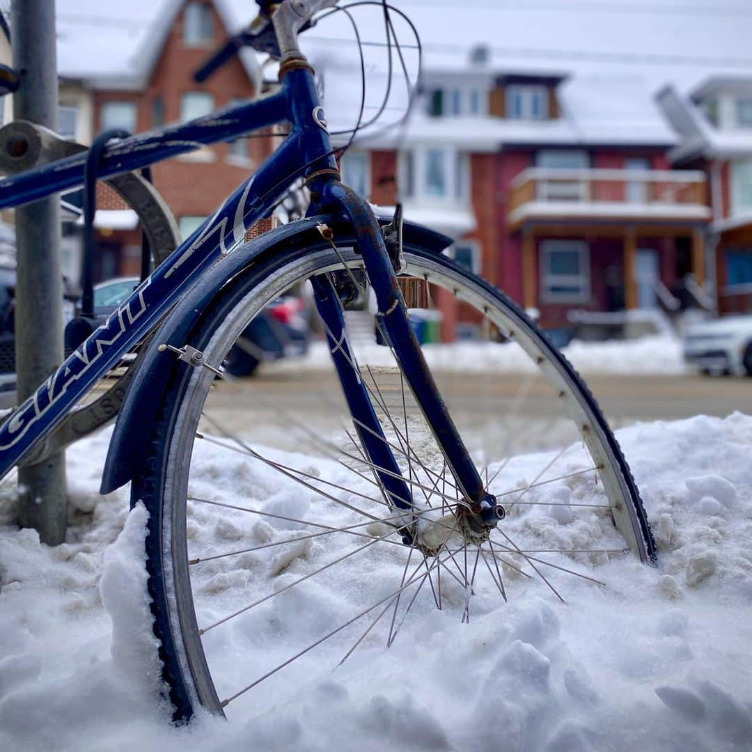 サイモンとマルティナさんのインスタグラム写真 - (サイモンとマルティナInstagram)「I felt very Canadian as I enjoyed my warm latte and buttery pear tart in the super snowy park. I’ve seen cross-country skiers, tobogganing teens, and a wild jogger casually trotting by in shorts 🇨🇦🤣 Reverse-Cultural-Shock of the day: I’m thrilled with the easy access to garbage cans located all over Toronto! 🗑 If you do takeout in Tokyo, you become BFFs with your coffee cup since it’s gonna be with you all day. Swipe to enjoy several photos of Toronto in all its wintertime glory. Personal favourite, picture number four: chubby squirrel looking unimpressed with the weather situation ⁉️🐿 #torontosnowstorm」2月17日 5時24分 - eatyourkimchi