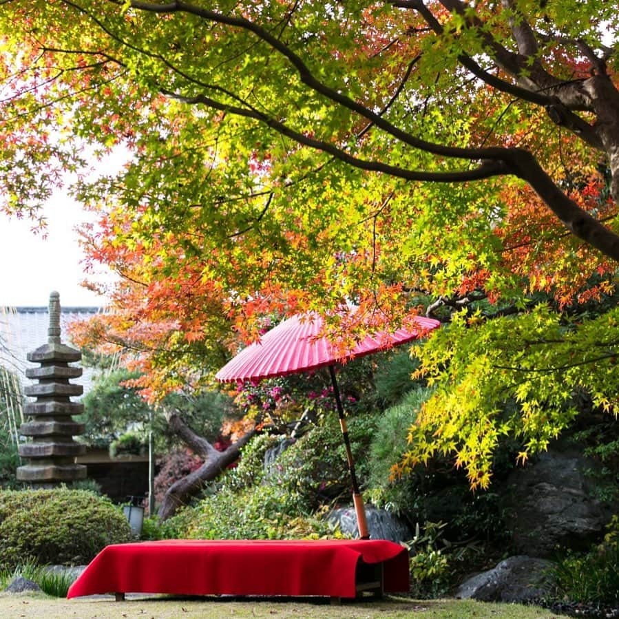 The KAMAKURA WEDDINGさんのインスタグラム写真 - (The KAMAKURA WEDDINGInstagram)「秋の『隠れ里車屋』の日本庭園 11月後半から12月後半にかけてゆっくり色づき、目を楽しませてくれる。」2月17日 5時47分 - thekamakurawedding