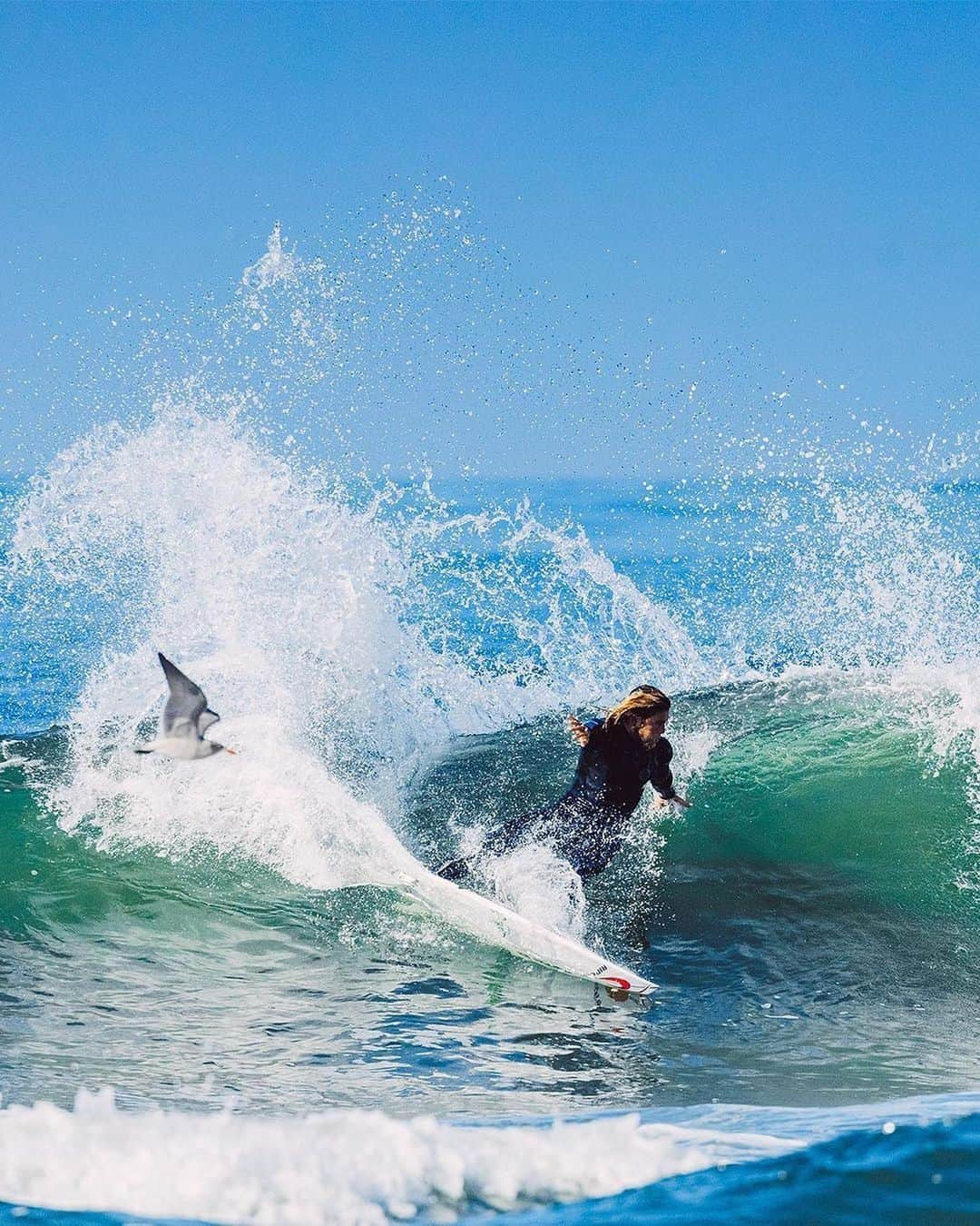 Rip Curl Australiaさんのインスタグラム写真 - (Rip Curl AustraliaInstagram)「Nobody’s safe from a classic @connercoffin hack.⁠⁠ ⁠⁠ Conner disrupting local wildlife in the warmest, most flexible #Flashbomb ever, the new HeatSeeker E6.⁠⁠ ⁠⁠ Swipe and tap to explore.」2月17日 6時02分 - ripcurl_aus