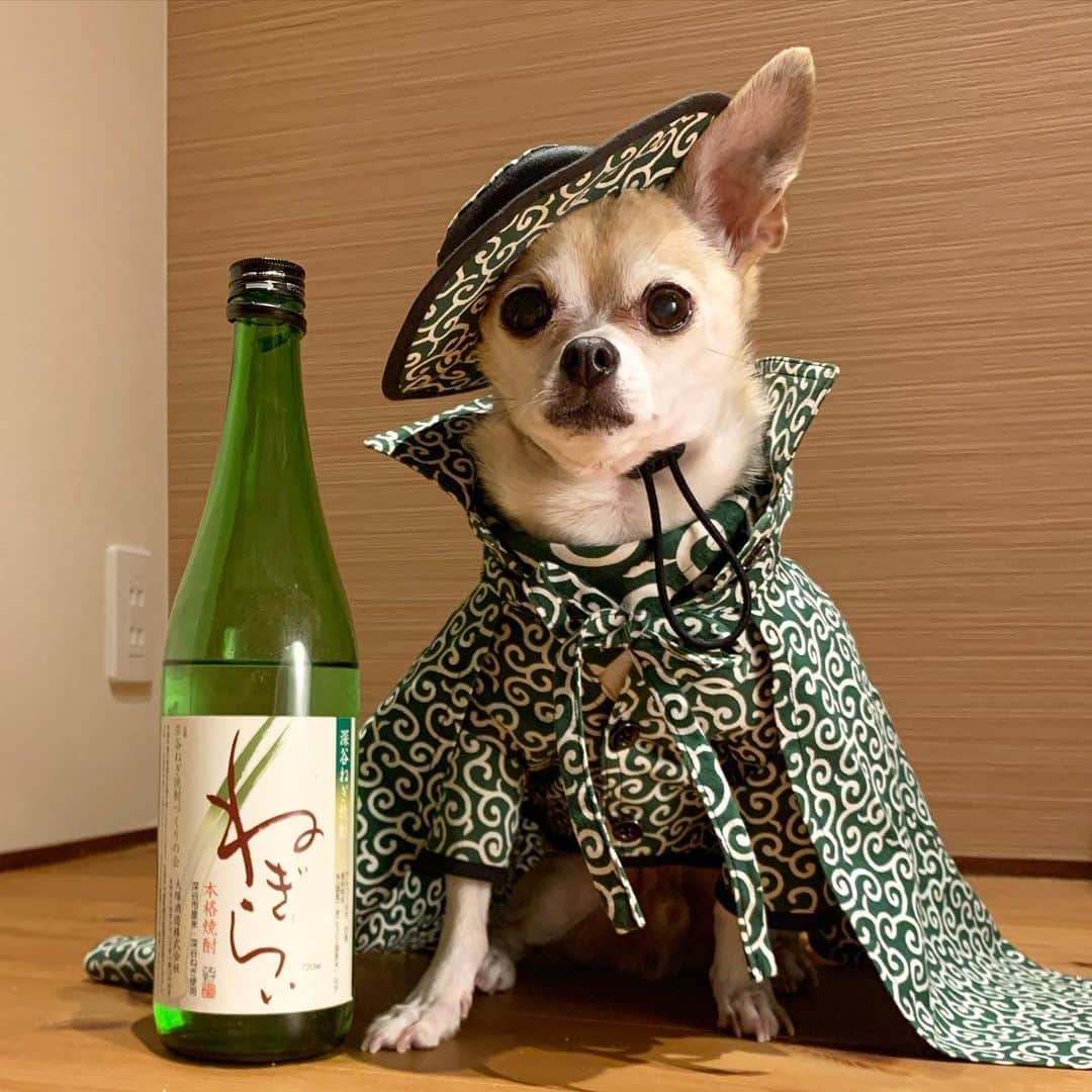 紋次郎のインスタグラム
