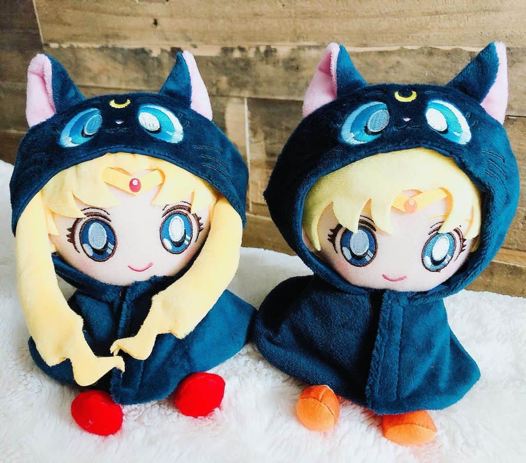 Sailor Moonさんのインスタグラム写真 - (Sailor MoonInstagram)「✨🌙 I literally bought the Sailor Moon & Venus plush so I could dress them up as Luna!! It’s the cutest! 😭 🌙✨  #sailormoon #セーラームーン　#plush #costumes」2月17日 6時57分 - sailormoon_sc