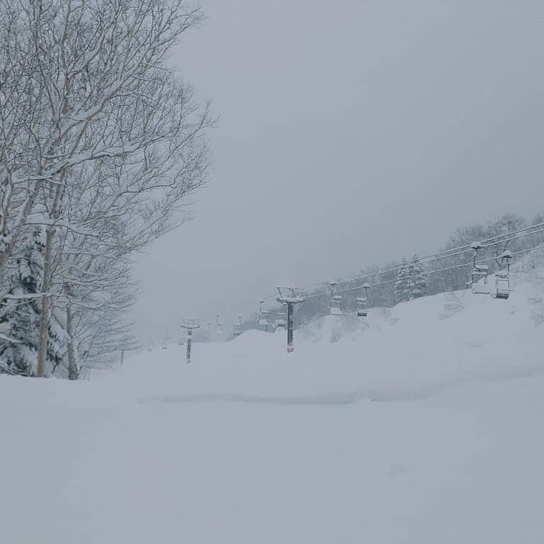 栂池高原スキー場さんのインスタグラム写真 - (栂池高原スキー場Instagram)「おはようございます！栂池高原スキー場朝イチレポートです！  気温　-5℃　 積雪　327cm 天候　雪　 風速　0m/s  昨日多く雪が降ってくれたので柔らかな圧雪です！ 圧雪された上に新しく雪も降り積もっています♪ 是非お越しくださいませ♪  #栂池 #栂池高原スキー場 #tsugaike #栂池自然園 #白馬つがいけwow  #高山植物 #栂池自然園　#栂池高原　 #北アルプス　#後立山連峰 #白馬 #白馬連峰 #青空 #スキー　#スノボ　#冬山 #trecking #hakuba #mountain #flowers #tsugaike #tsugaikekogen #bluesky　#小谷村 #長野 #美しい場所」2月17日 7時03分 - tsugaike_kogen