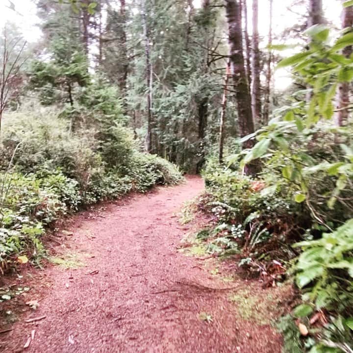 ダニー・マスターソンのインスタグラム：「Join me for a walk.」