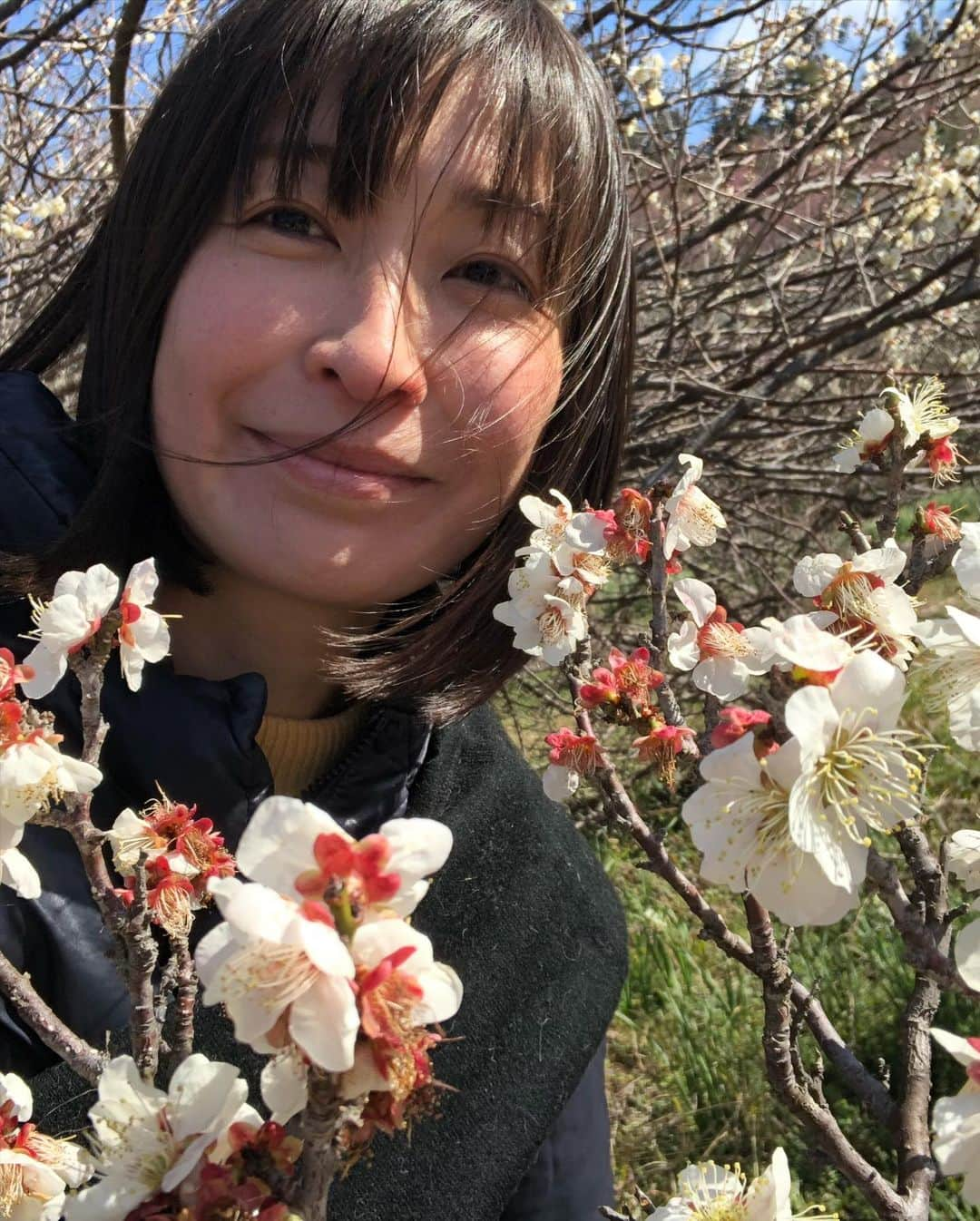 小野真弓さんのインスタグラム写真 - (小野真弓Instagram)「おはようございます🌸🌸🌸 強風でいつもの橋通れず、海を渡れず🌊🍃 ぐるりと丘周り🚗💨☺️ いつもより早く出発！早く到着！ 仕事先の駐車場にて、ほっとひと息中です☕️✨ 年に一度あるかないかの、ぐるり旅。 旅感、増し増し出勤タイムでした✌️ 今日も良い一日を〜😷🍀 #チワワ#ハナちゃん #チワマル#ハルくん #河津桜#梅#春らんまん#佐久間ダム#千葉暮らし#わん散歩風景#犬のいる暮らし#千葉県南部#アクアライン通勤 ハナハル、にこにこお花見わんこ🌸🐾」2月17日 8時10分 - hanaharuaroi