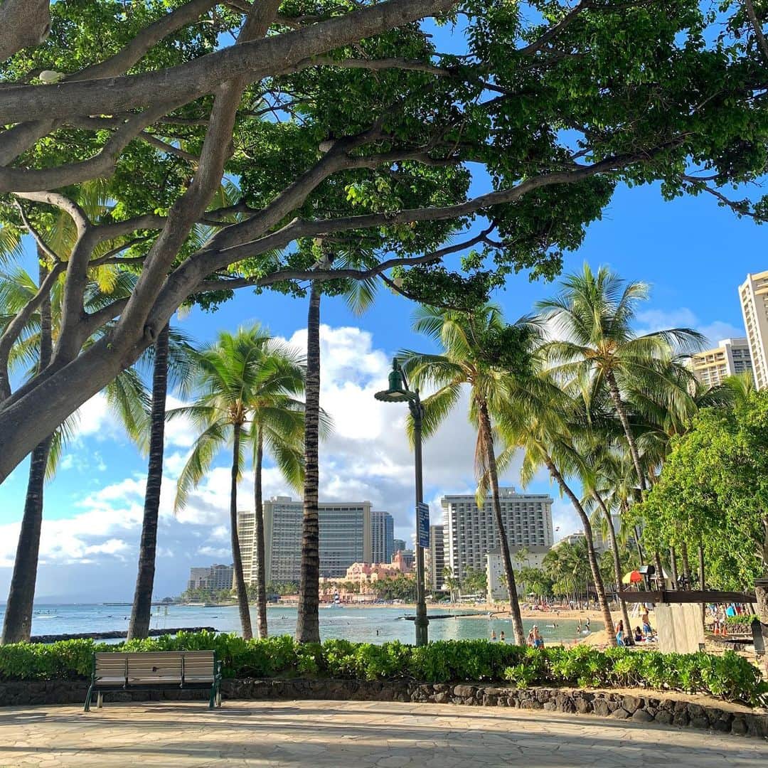 Belle Vie Hawaiiさんのインスタグラム写真 - (Belle Vie HawaiiInstagram)「朝のワイキキ散歩🌴﻿ ﻿ ﻿ ﻿ 【ベルヴィー情報】﻿ ・ワイキキ店﻿ 営業時間: 月〜金　午前11時から午後4時まで。﻿ 土日休み。﻿ 店頭だけのお得なセールあり！﻿ 詳しくは店頭でお尋ねください。﻿ ﻿ ﻿ #belleviehawaii﻿ #waikiki #aloha﻿ #hawaii #honolulu﻿ #lanikaibathandbody﻿ #ハワイ #ベルヴィー﻿ #ハワイ大好き #オアフ島﻿ #ハワイ好き #ワイキキビーチ﻿ #ハワイ行きたい #ハワイ在住﻿ #アロハ #ホノルル﻿ #ワイキキ #アロハ﻿ #ワイキキ散歩 #妄想ハワイ ﻿ #頑張れハワイ #ハワイインスタ﻿ #ハワイ好きな人と繋がりたい﻿ ﻿」2月17日 8時32分 - belleviehawaii