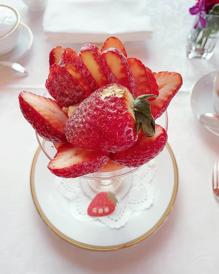 和泉佳子のグルメインスタ