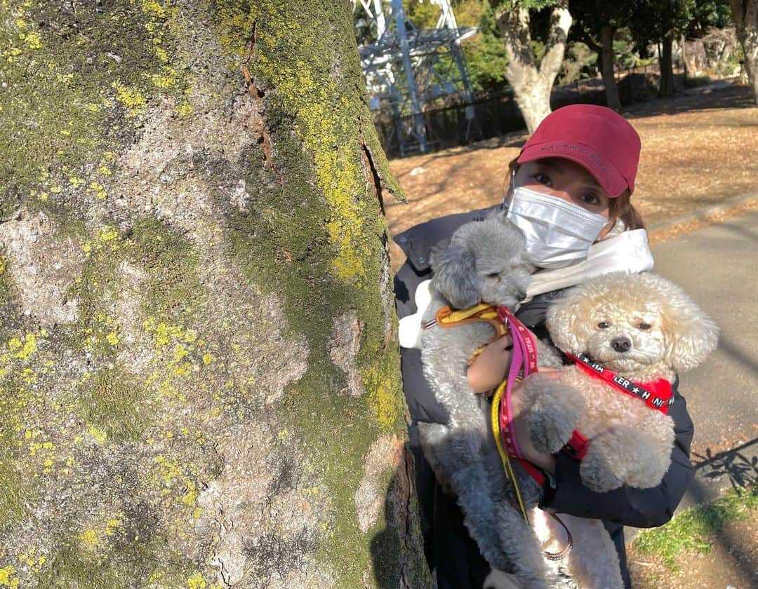 加藤綾菜さんのインスタグラム写真 - (加藤綾菜Instagram)「朝活したよ〜❣️ 愛犬達も足が真っ黒になるほど遊びました💕 ちーたんがまだ寝てる朝に愛犬達と贅沢な時間を過ごせたなぁ🥰 朝に勝つと一日気持ちがよい出発になるね🐶 １９時にYouTube UPします♡ #加藤家の日常 #朝活 #YouTube #愛犬との暮らし」2月17日 18時49分 - katoayana0412