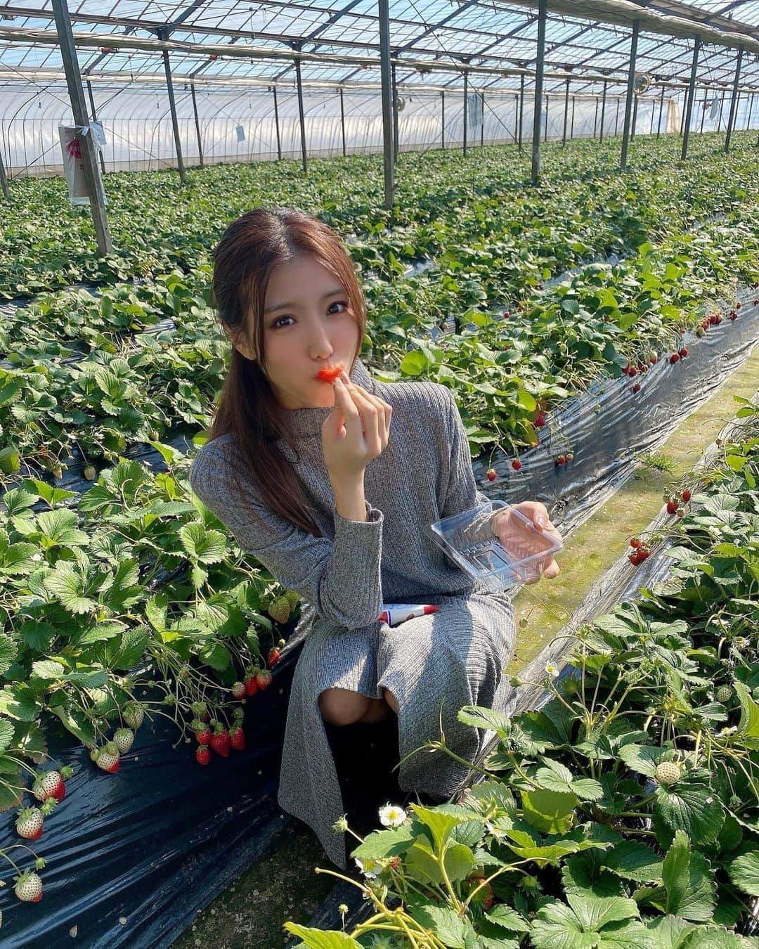 夏本あさみさんのインスタグラム写真 - (夏本あさみInstagram)「結果、、、51個食べました🍓 今まで「練乳を食べるためのいちご」くらいに練乳といちごが大好きで「よ〜しっ練乳2本くらい使い切っちゃうぞ〜☆」って意気込んでたけど初めて練乳いらんほど甘かった、、もはやジャム」2月17日 18時48分 - natsumotoasami