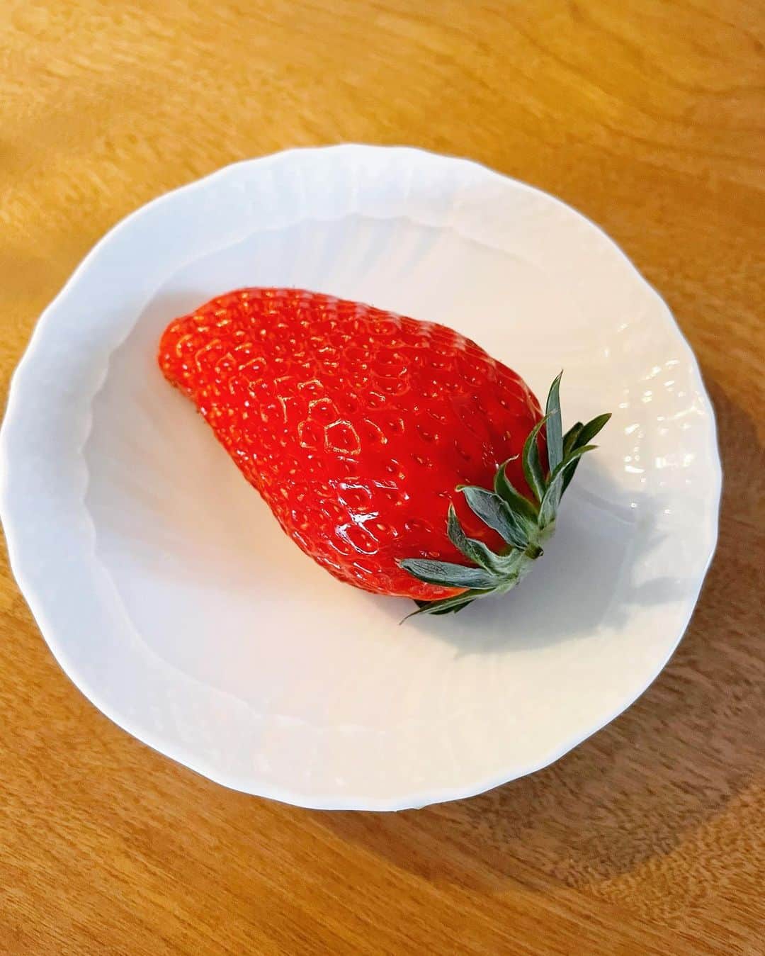 牧山純子のインスタグラム：「びっくりするくらい大きないちごをいただきました。思わず定規で測ったら一番大きいのは8cmもあった😵❤️優しい甘みで美味しいよー🍓  #章姫  #いちご #イチゴ #苺 #strawberry #いちご農園 #静岡 #アグリス浜名湖」