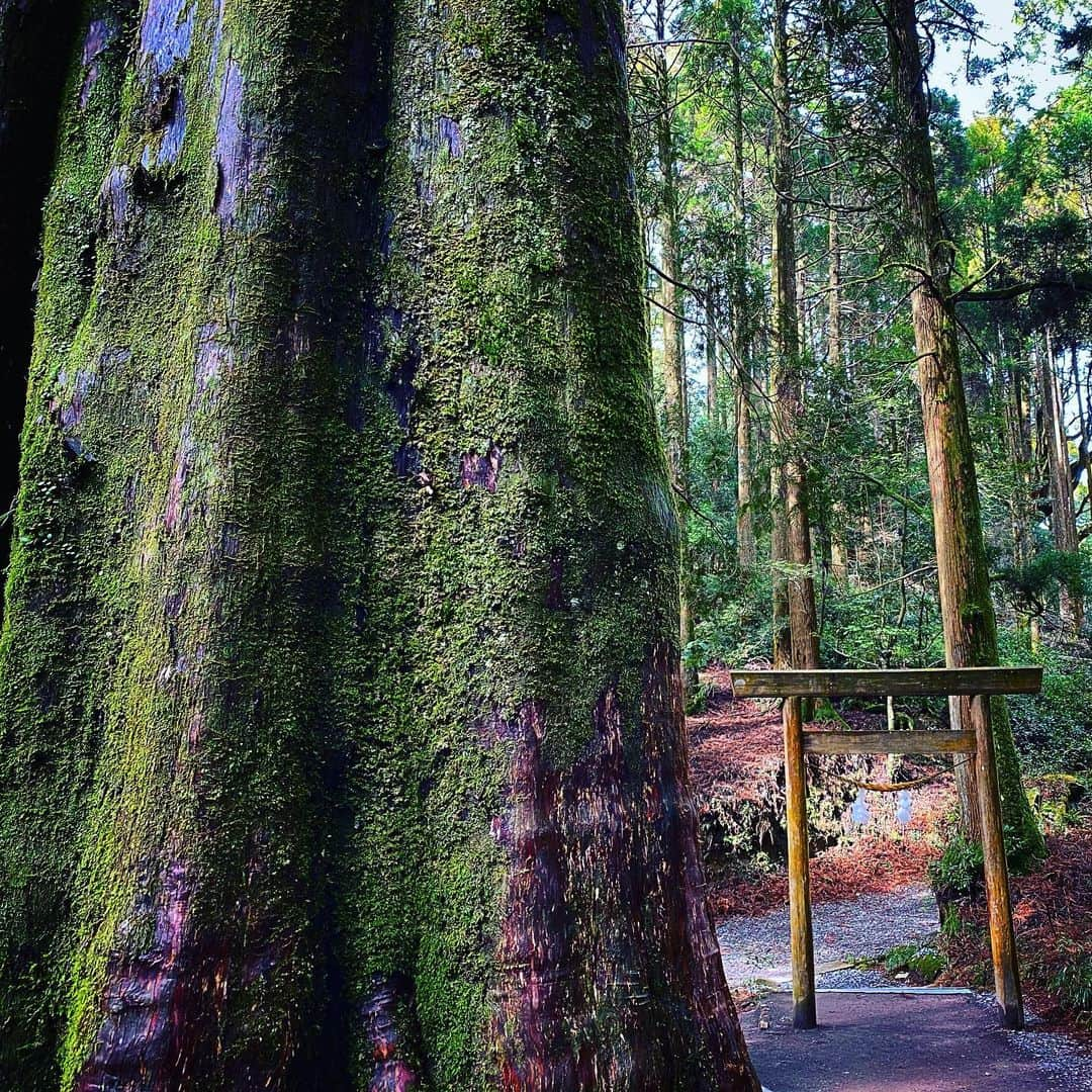 DAISHI DANCEさんのインスタグラム写真 - (DAISHI DANCEInstagram)「#霧島神宮 #山神社 #POWERSPOT #パワースポット　 ⛩ #鳥居 #TORii #LIST33 #和の秘密結社  #おわかりいただけただろうか」2月17日 19時29分 - daishidance666